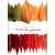 همنشینی رنگ ها (( 3 )) راهنمای خلاقیت در ترکیب رنگ ها, نشر کارنگ, براید ام. ولان, ترجمه فریال دهدشتی